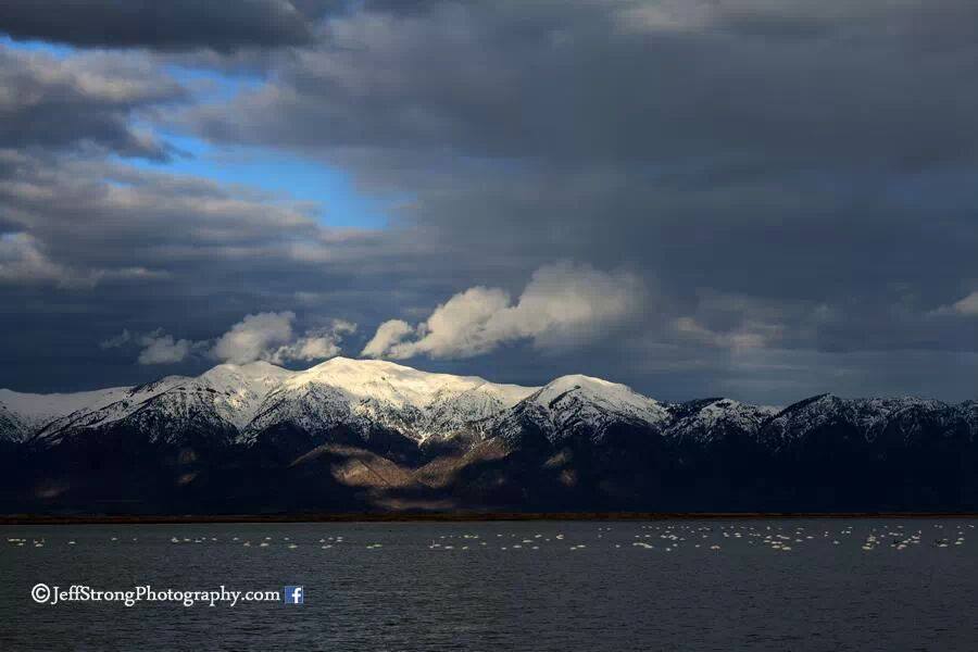 Snow capped mountains watching over the bear river migratory bird refuge.