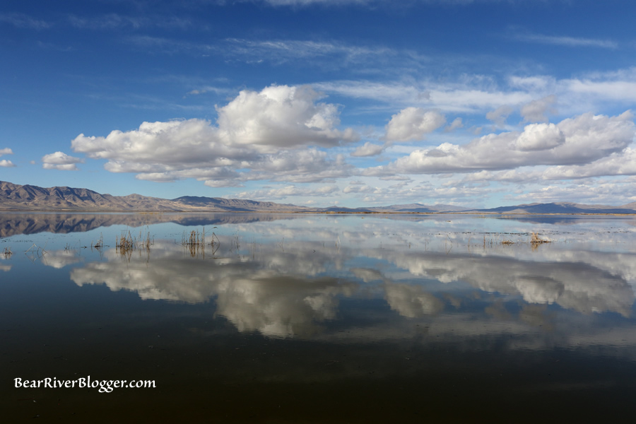 reflecting clouds on the refuge auto tour route