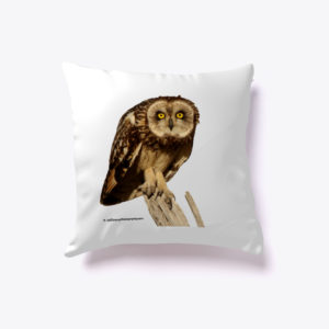 short-eared owl pillow