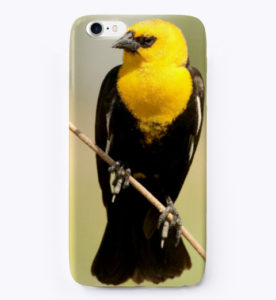 phone case with a yellow headed blackbird