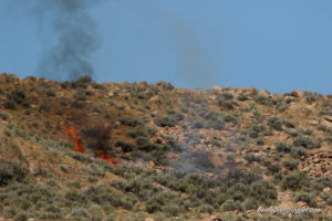 wildfire on antelope island