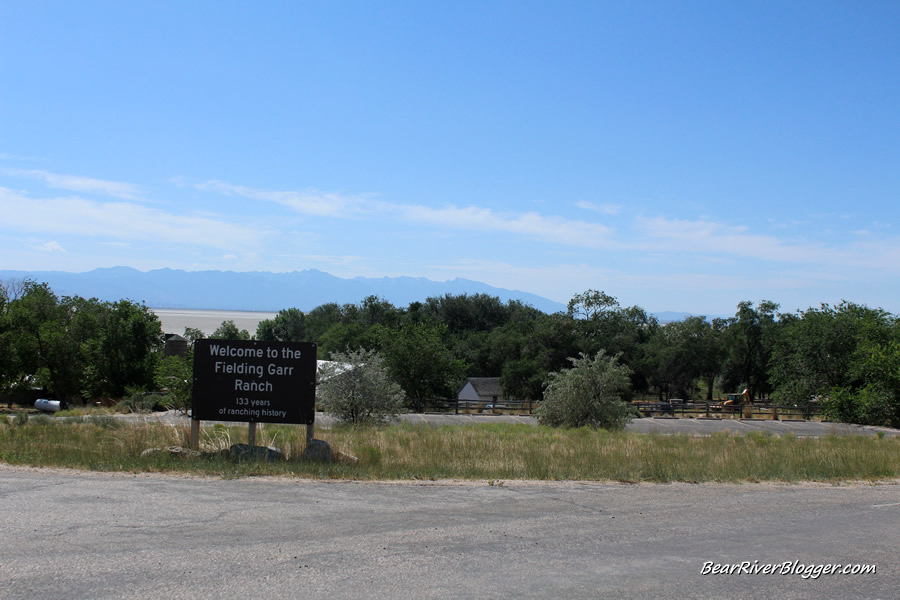 bird watching at garr ranch on antelope island