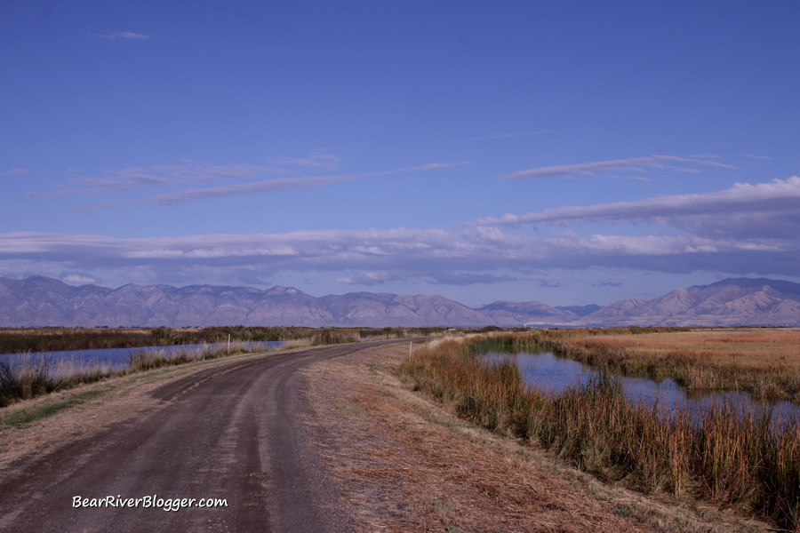 Bear river migratory bird refuge auto tour route