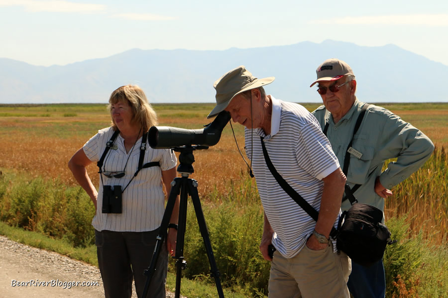 bird watcher on the bear river migratory bird refuge auto tour route.