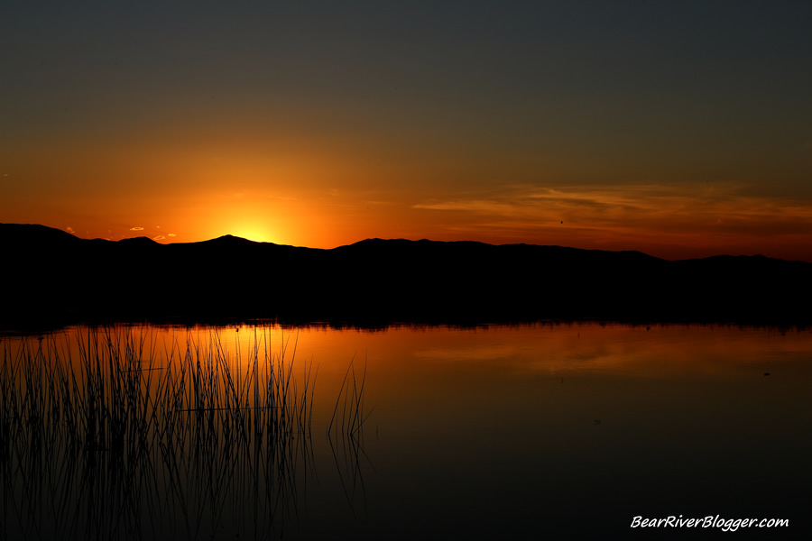 sunset over the bear river migratory bird refuge.