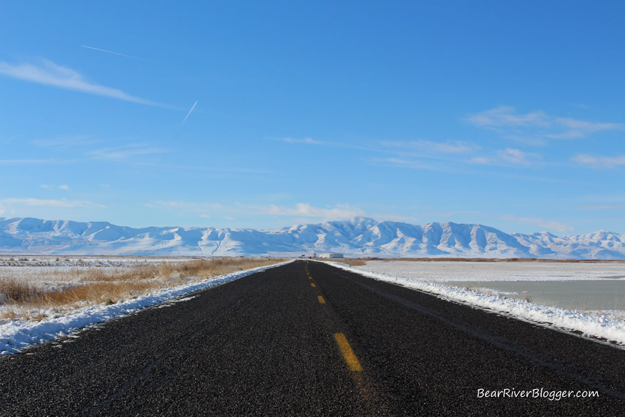 forest street on the bear river migratory bird refuge