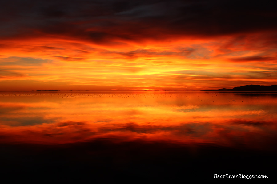 sunset near antelope island on the great salt lake