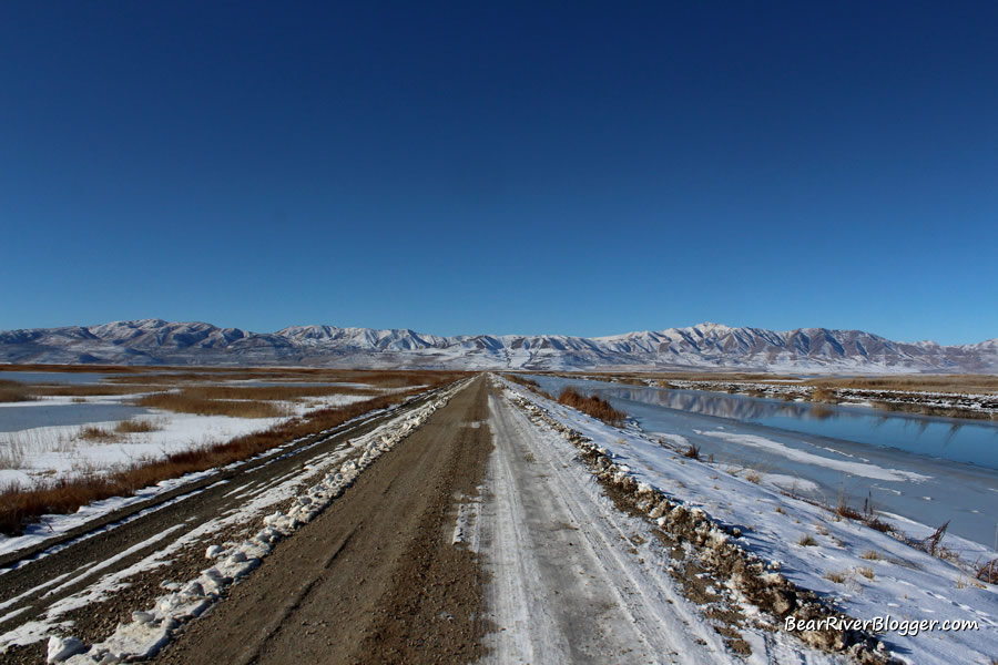 bear river bird refuge auto tour route