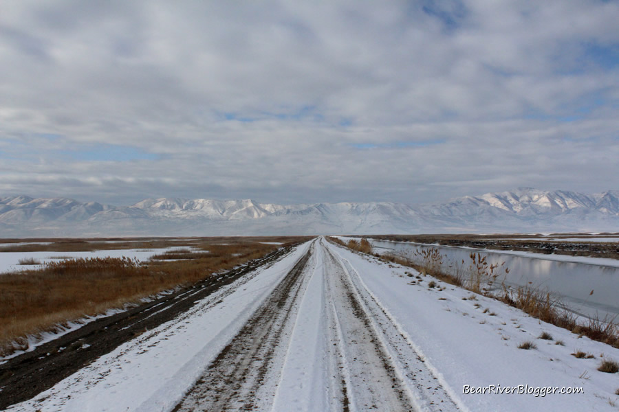 bear river migratory bird refuge auto tour route in winter