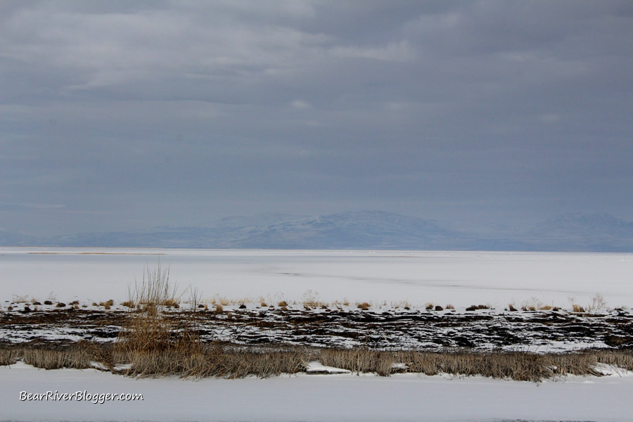 frozen marsh on the bear river bird refuge