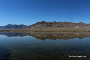 fish springs national wildlife refuge reflection