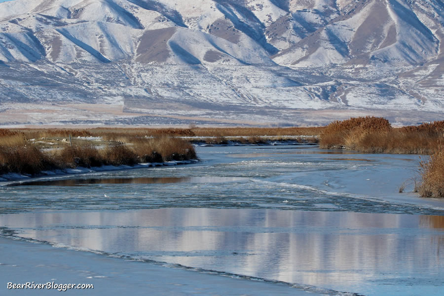 pockets of open water on the refuge auto tour route