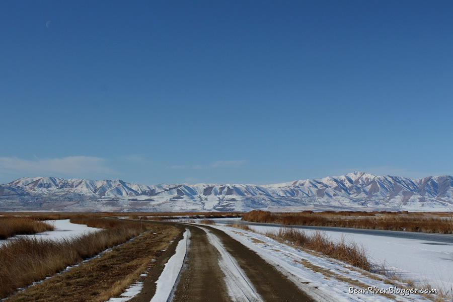 bear river migratory bird refuge auto tour route in winter
