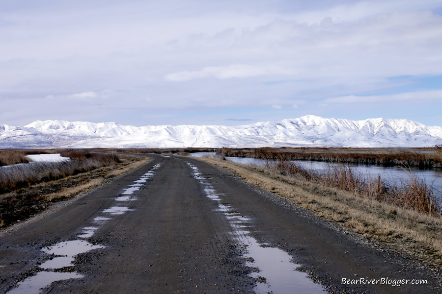 bear river bird refuge auto route route