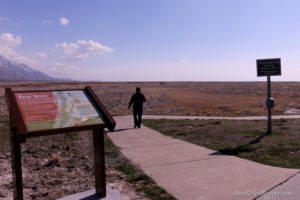 bear river migratory bird refuge nature trail