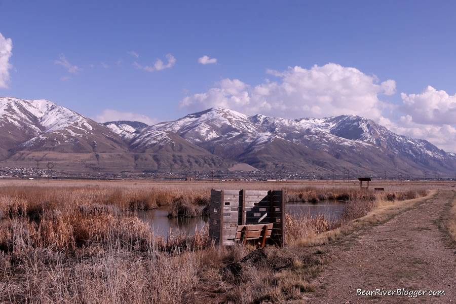 bear river migratory bird refuge photography blind