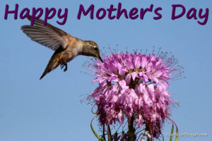 happy mothers day