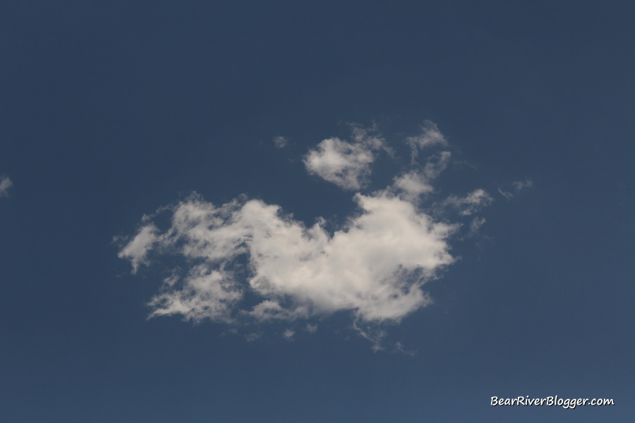 small white cloud