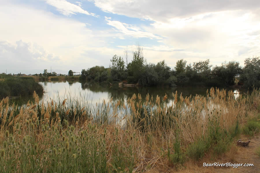 Pond at the USU Botanical Center in Kaysville, Utah. 