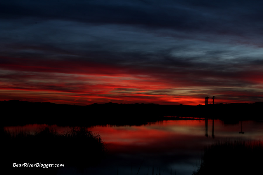 sunset at farmington bay great blue heron rookery