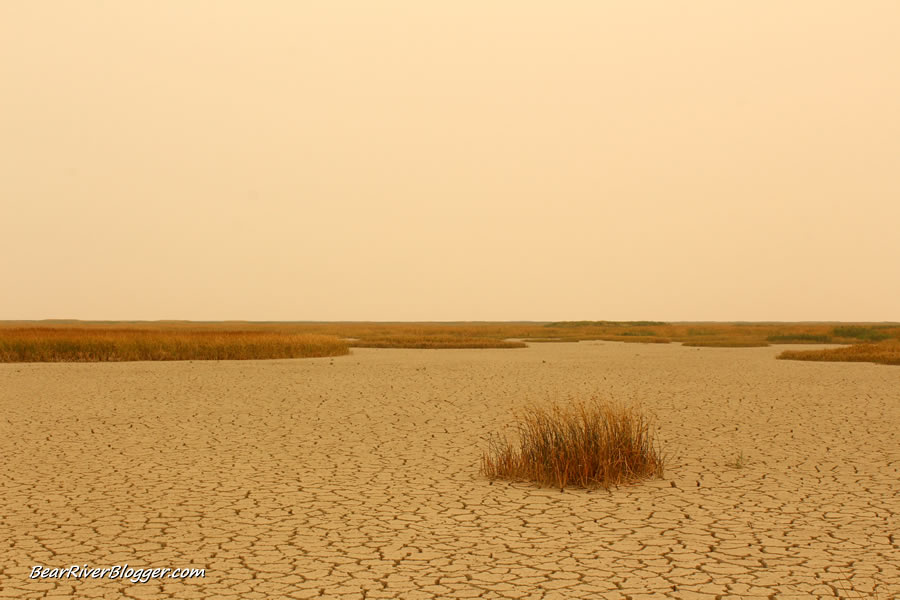 dry marsh on the bear river migratory bird refuge