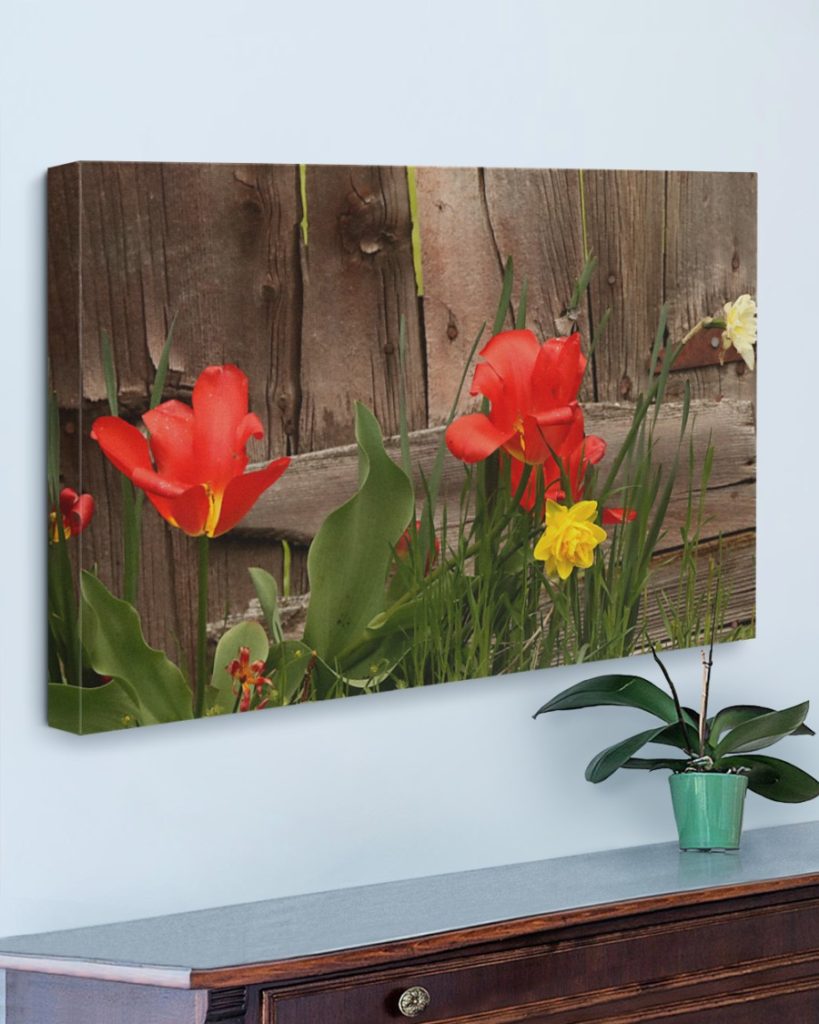 tulip gallery wrapped canvas print