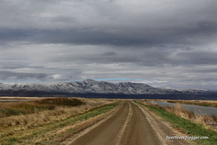 auto tour route on the bear river bird refuge 