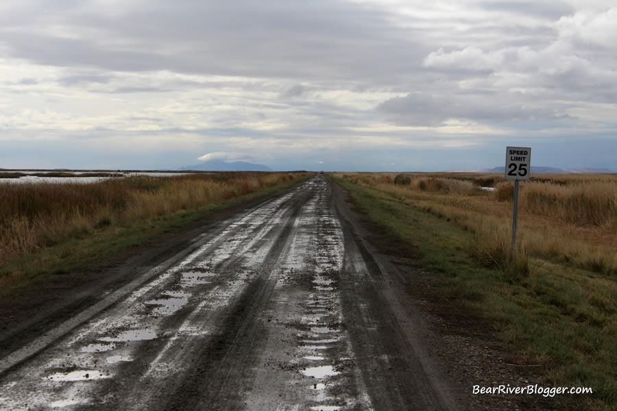 bear river bird refuge auto tour route