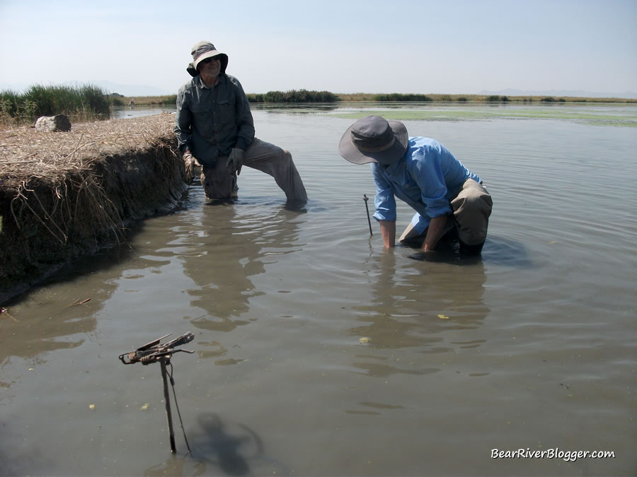 Aimee Van Tatenhove and her father working on the traps at farmington bay wma