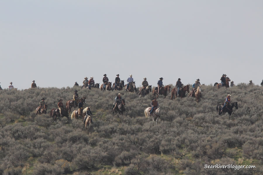 horseback riders on the antelope island bison roundup