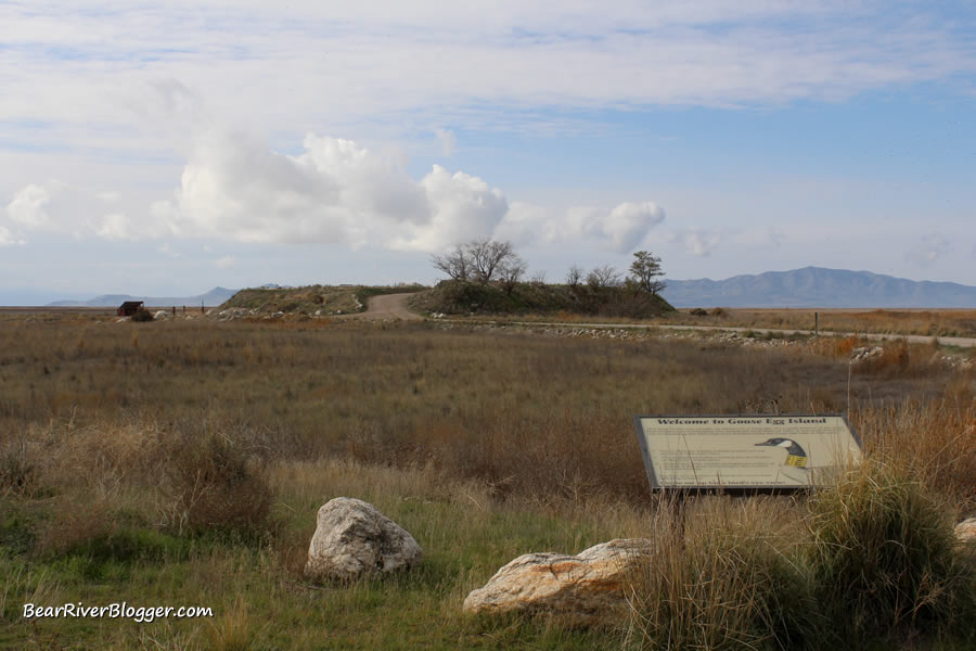 goose egg island at farmington bay wma