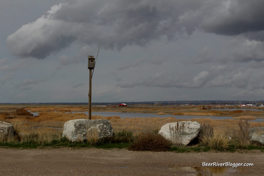 farmington bay wma