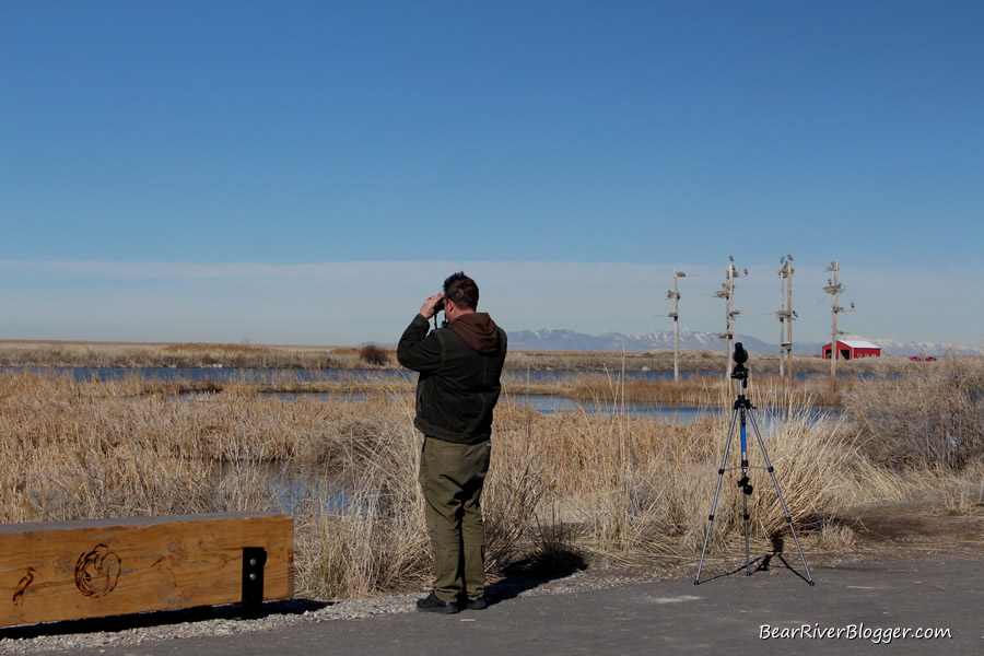 bird watcher at farmington bay wam