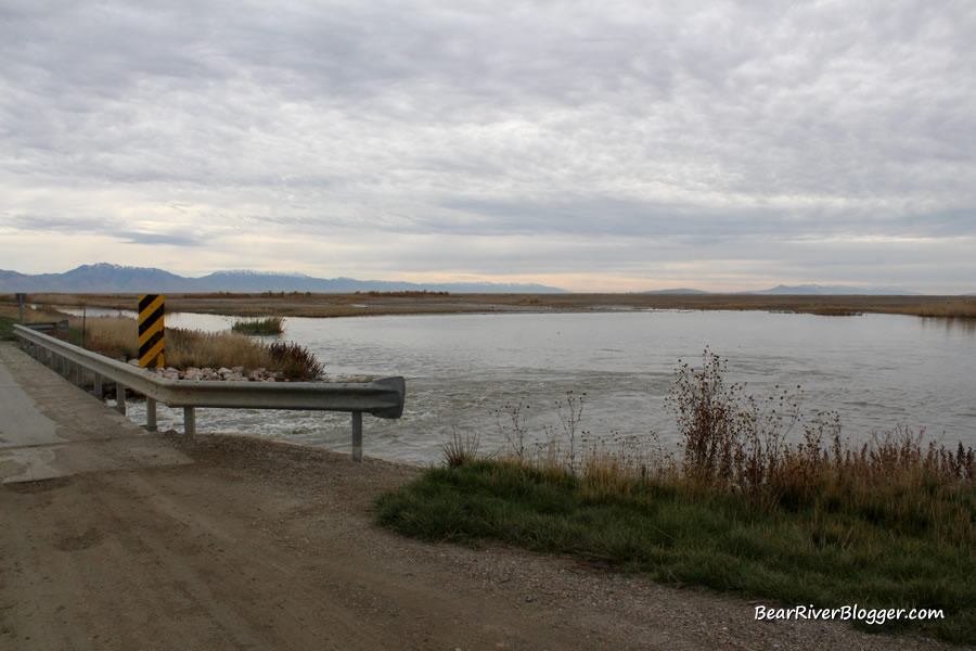 bear river bird refuge auto tour road