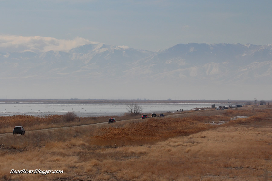 farmington bay wma