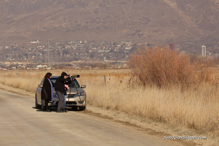 bird watchers at farmington bay