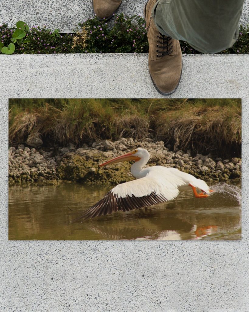 American white pelican doormat