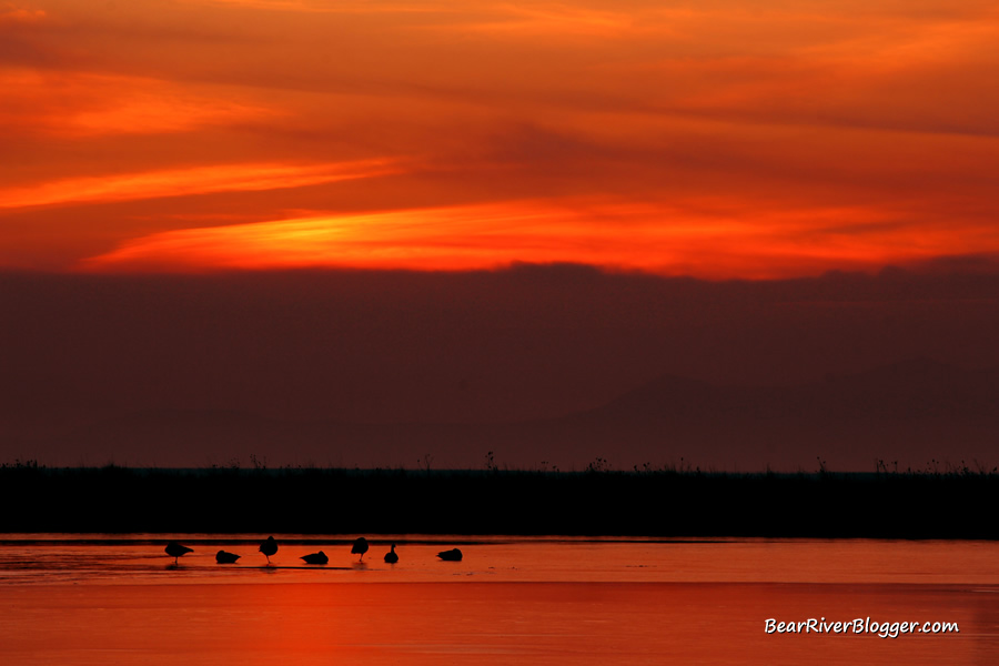 farmington bay sunset