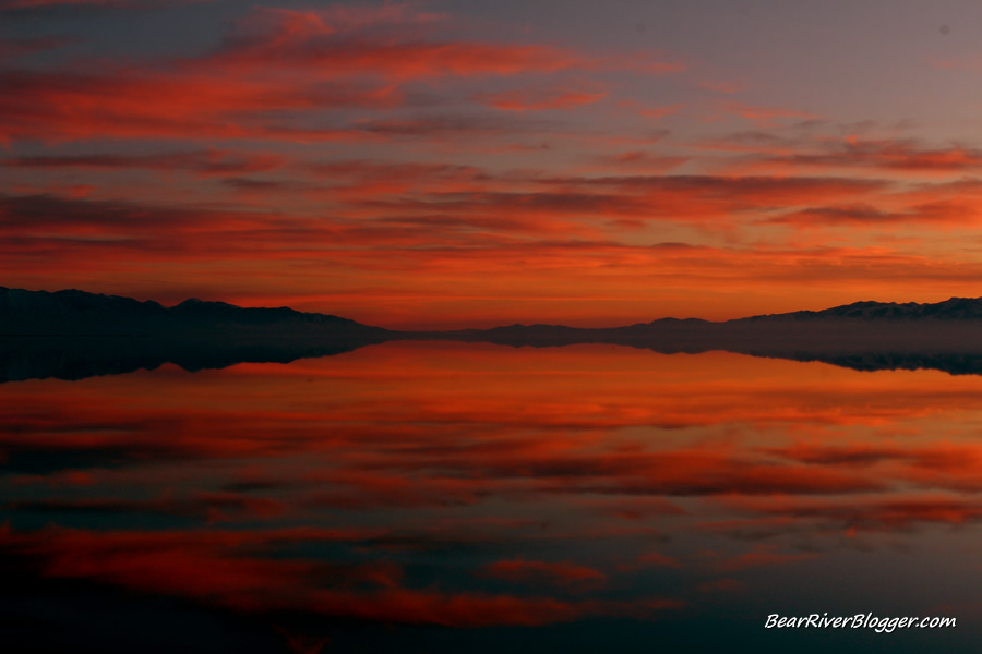 sunset over the great salt lake from antelope island
