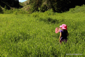 a young person on a utah butterfly field trip