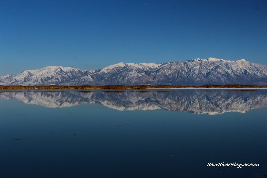 reflection on the bear river migratory bird refuge