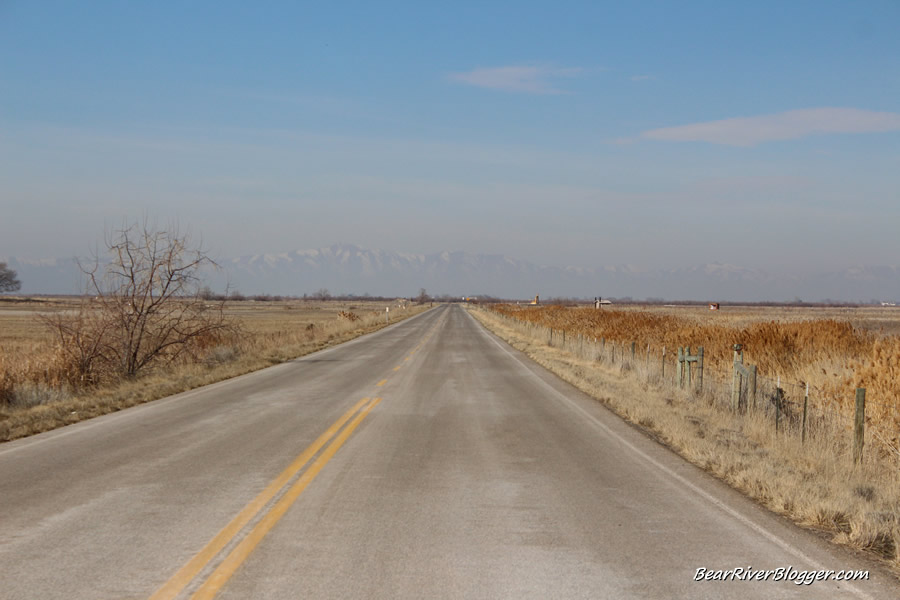 forest street on the bear river migratory bird refuge