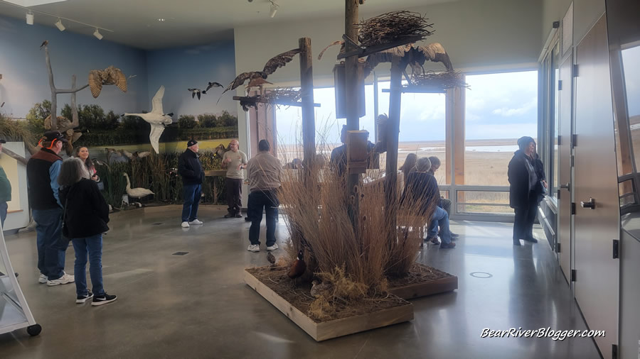 billy fenimore inside the eccles wildlife education center 