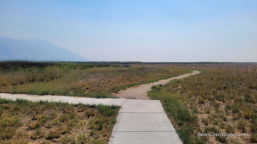 bear river migratory bird refuge nature trail