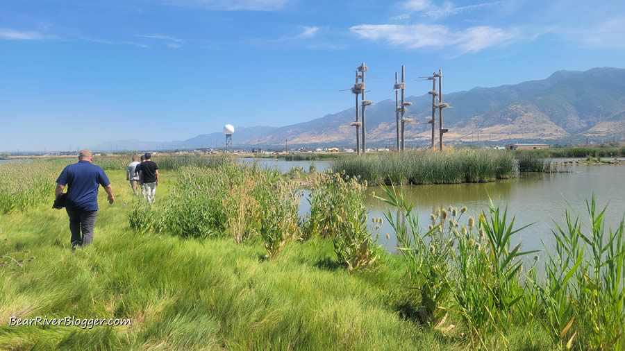 rocky mountain power workers inspecting the great blue heron rookery at farmington bay