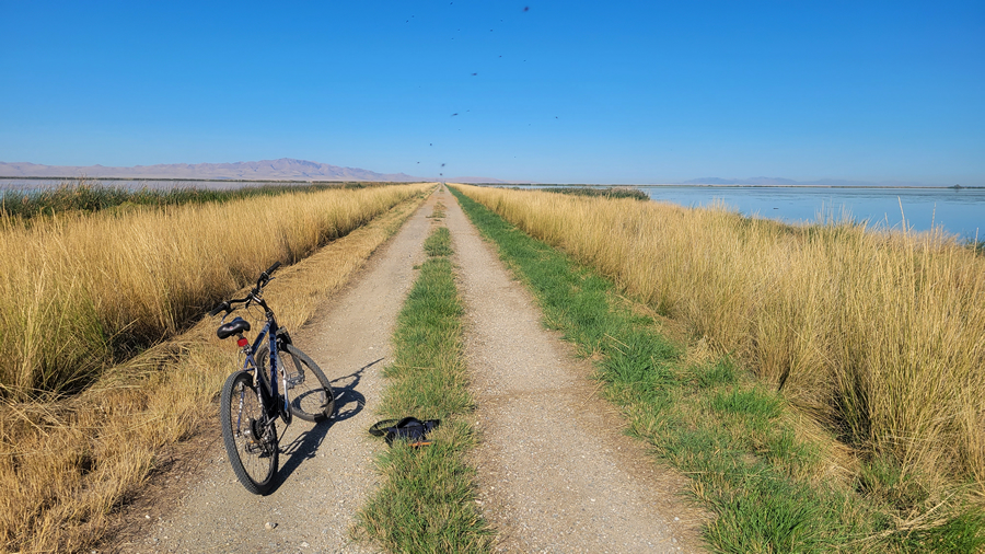 riding a mountain bike around farmington bay