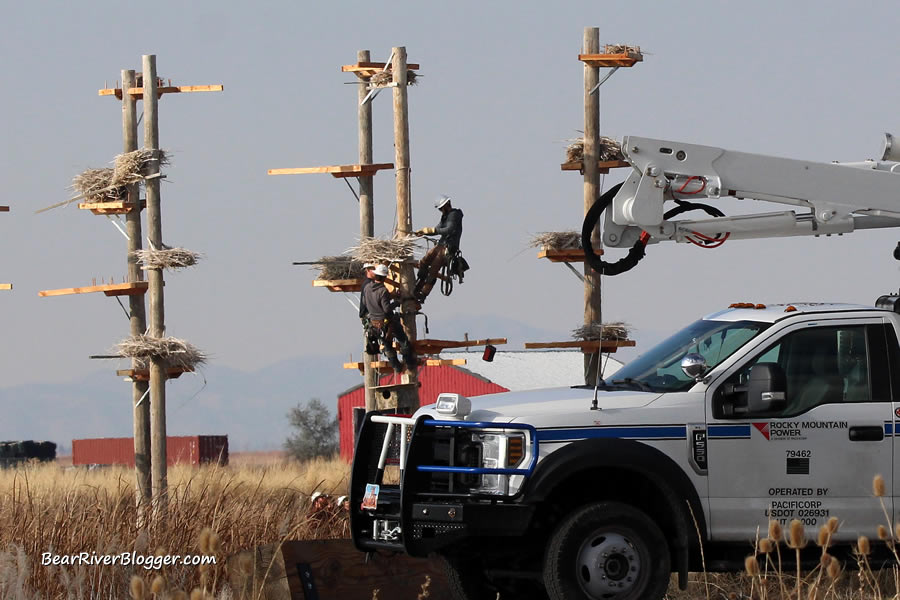 Rocky Mountain Power truck and the great blue heron rookery
