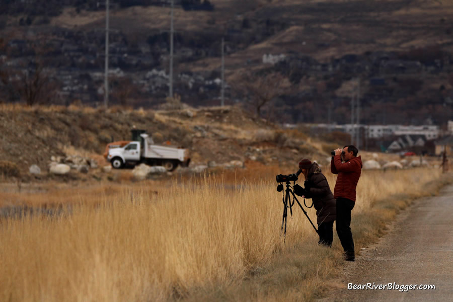 bird watchers at Farmington Bay