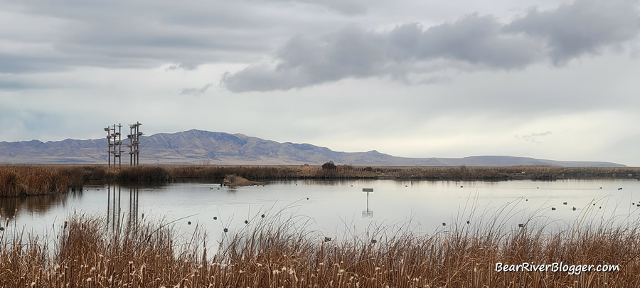 Farmington Bay waterfowl management area