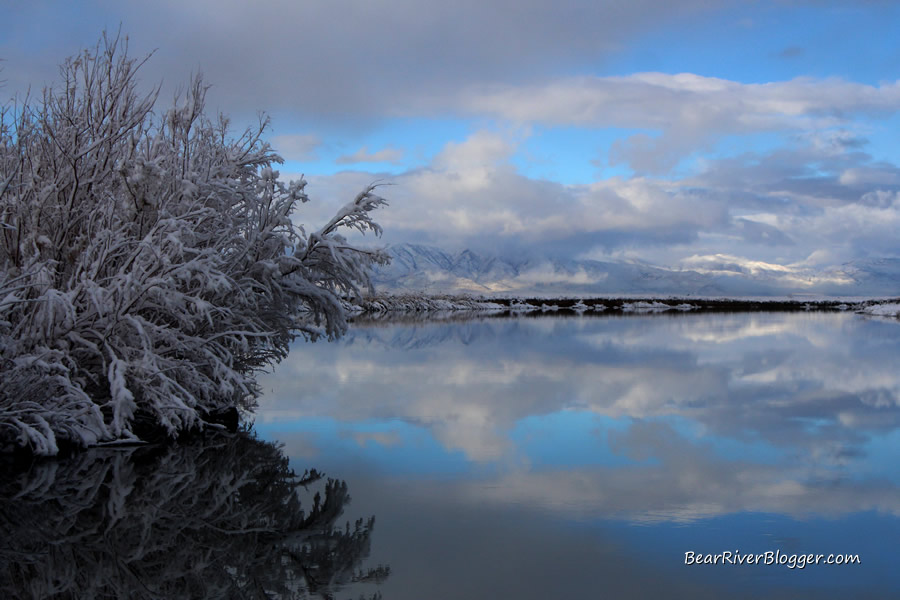 Winter reflection on the bear river migratory bird refuge